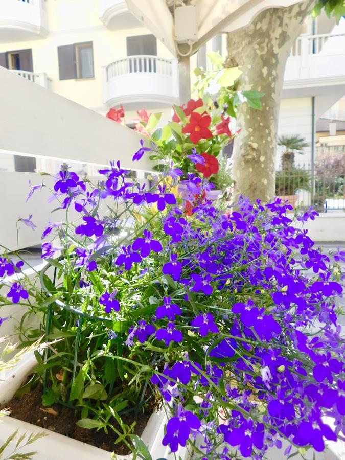 Hotel Dolores Rimini Exteriér fotografie